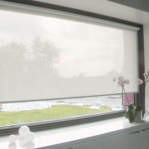 Cortinas roller Screen (5)