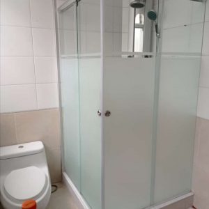 puerta de ducha batiente (5)